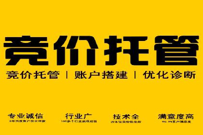 成功案例：竞价推广助力企业拓展海外市场